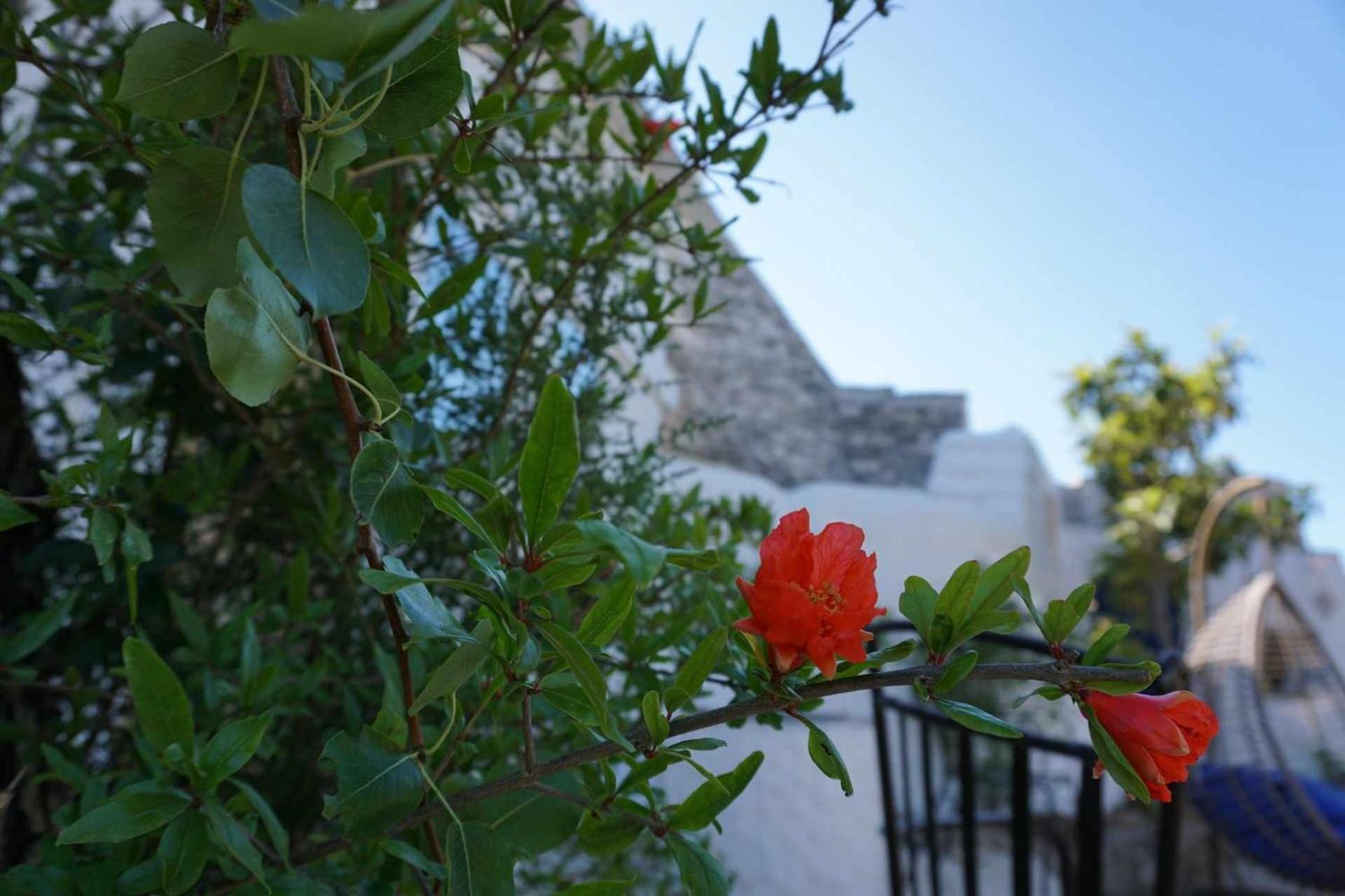 Trullo Biricchino Two Bedroom By Tripออสตูนี ภายนอก รูปภาพ